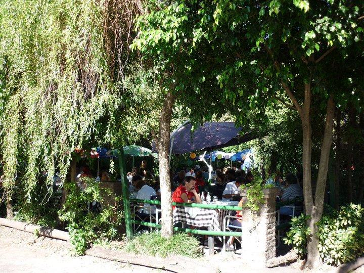 Jardín arbolado del restaurante